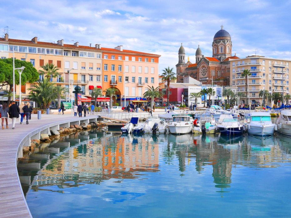 FLEUR D'ESTEREL - SAINT_RAPHAEL