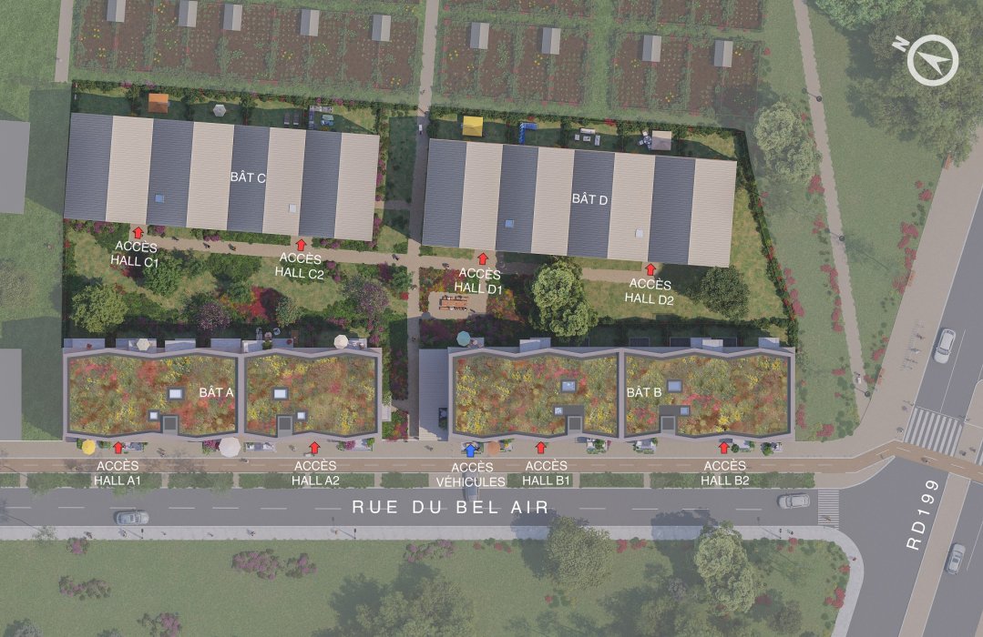 ARBOREA - Web Illustration