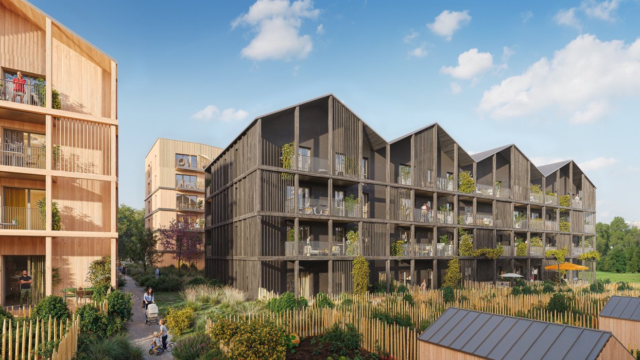 ARBOREA - Web Illustration