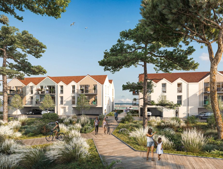 L'Orée de la Baie - Web - Illustrations