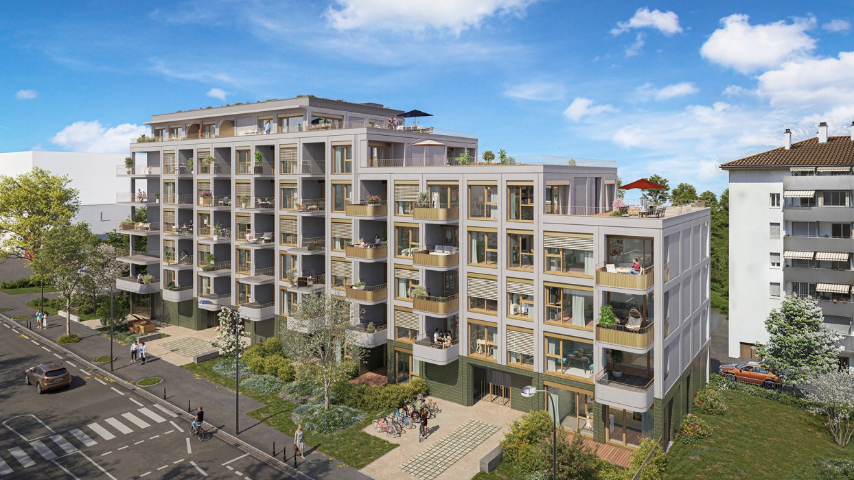 Signature - Web - Illustration