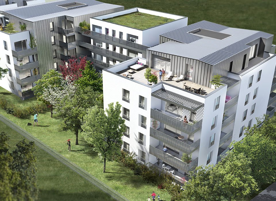 LINK - Web - Illustration