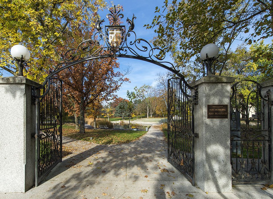 LINK - Web - Illustration