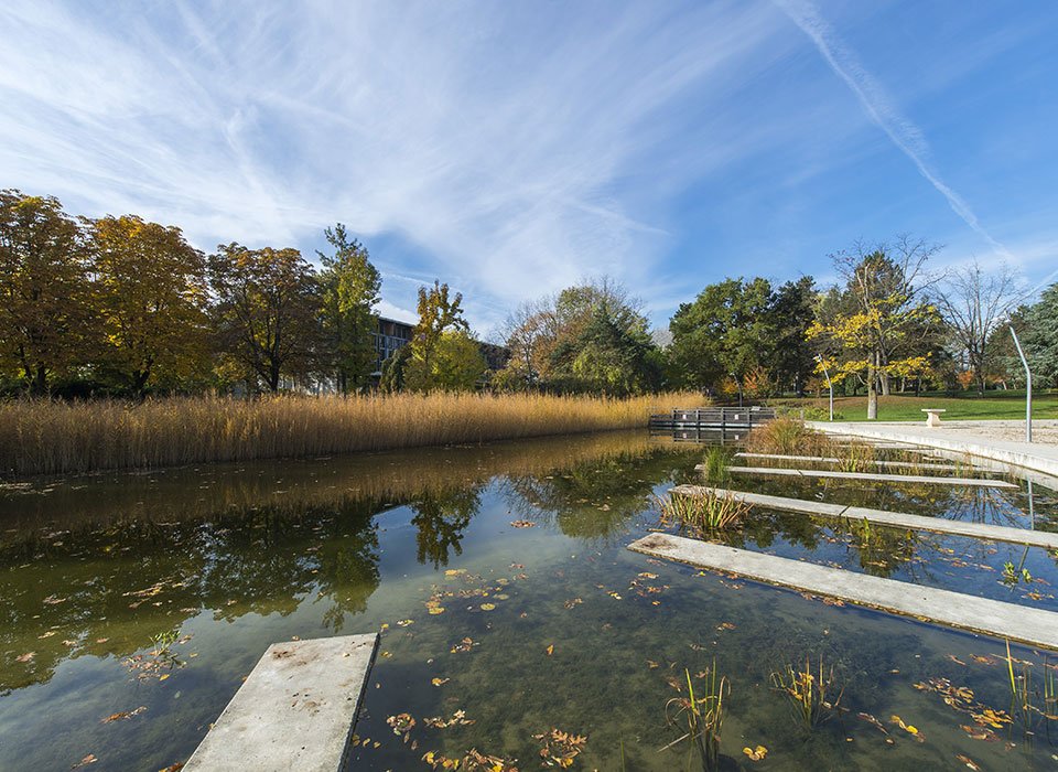 LINK - Web - Illustration