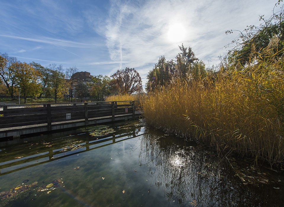 LINK - Web - Perspective principale