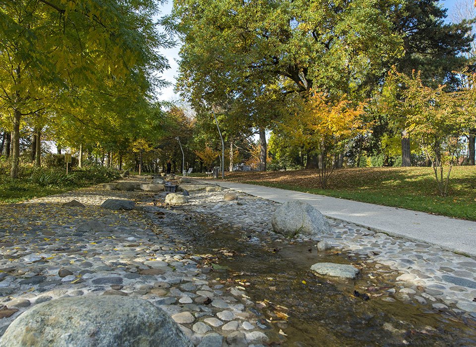 LINK - Web - Illustration