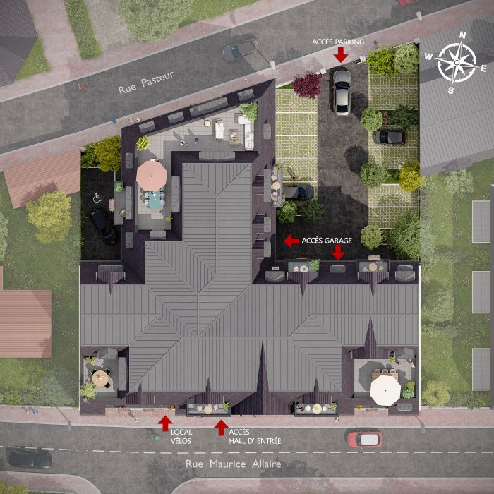 ÉCRIN DE ROSE - Web - Illustration