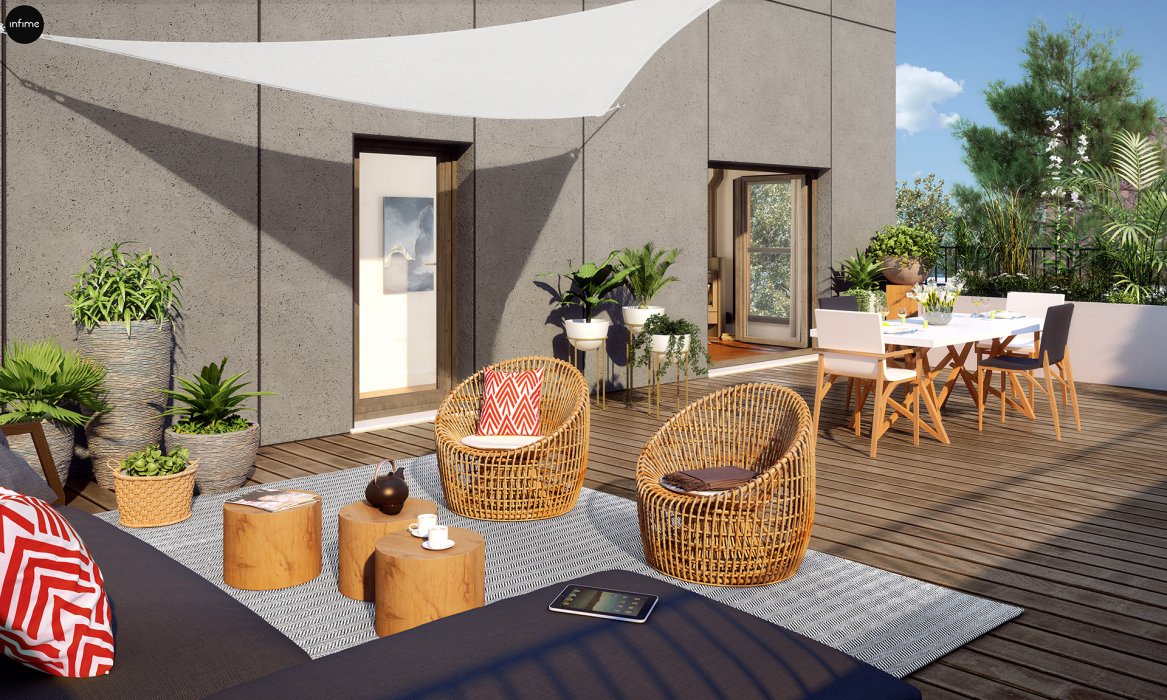 LES GINKGOS - CANOPEE - Web - Illustration