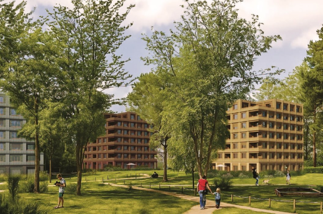 LES IRIS - Web - Perspective principale