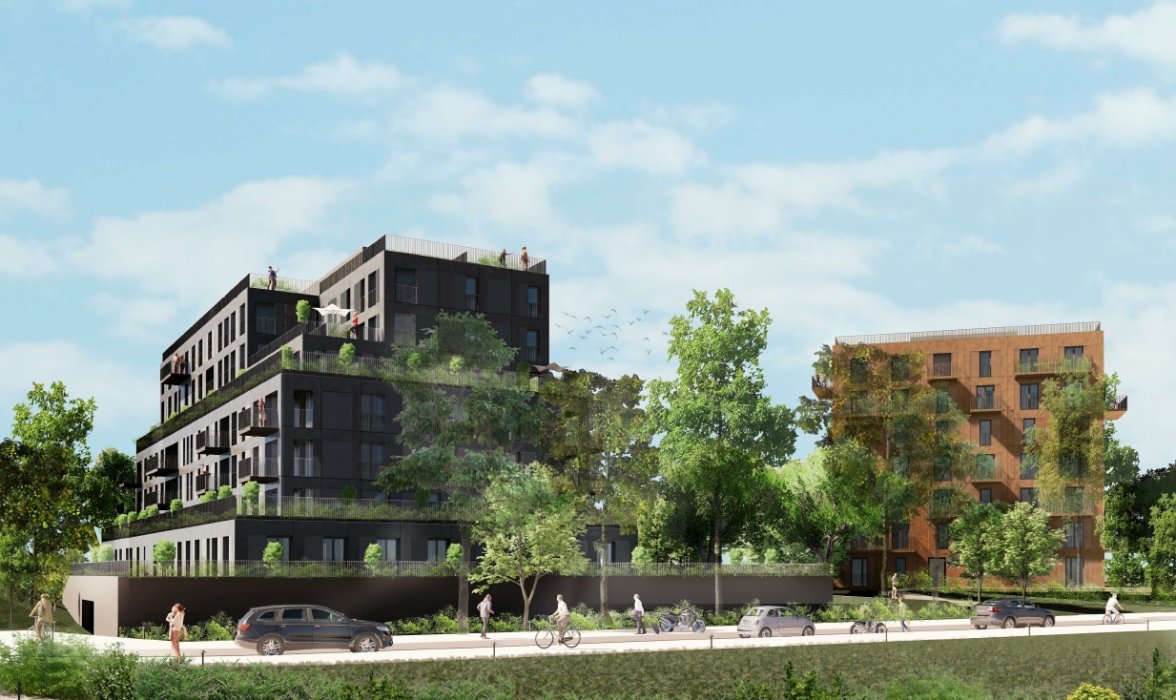 LES IRIS - Web - Perspective principale