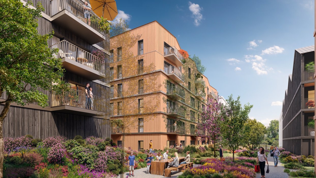 ARBOREA - Web Illustration