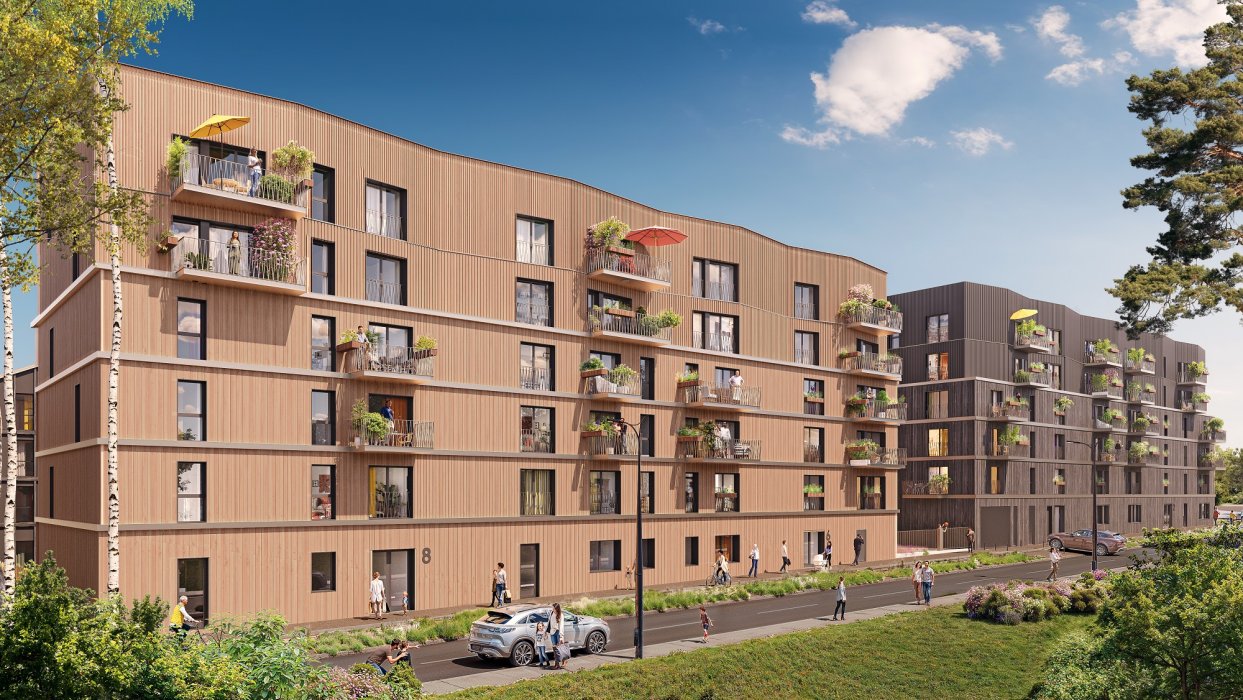 ARBOREA - Web Illustration