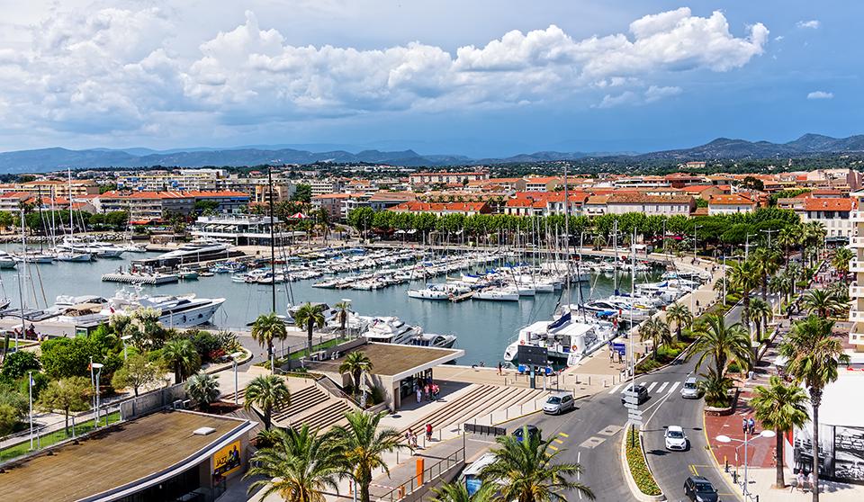 FLEUR D'ESTEREL - SAINT_RAPHAEL