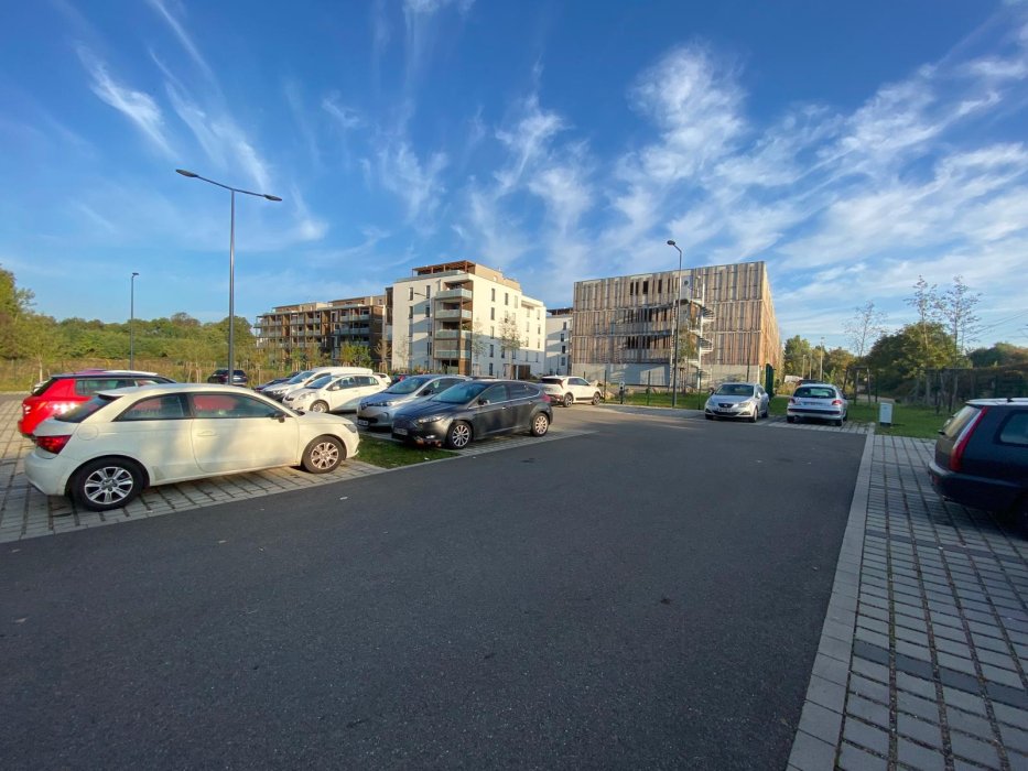 SECRET GARDEN 3 - Web - Illustration