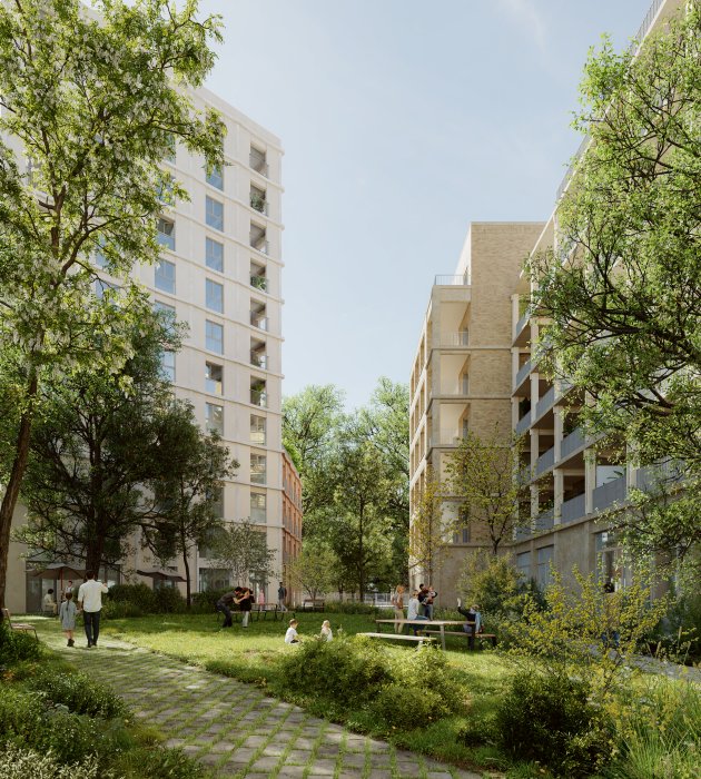 IMPERIAL - Web - Illustration