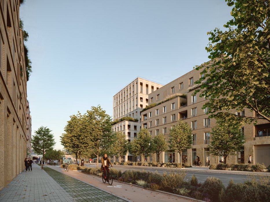 IMPERIAL - Web - Illustration