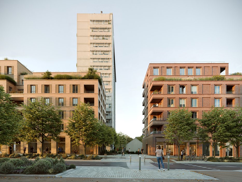 IMPERIAL - Web - Illustration