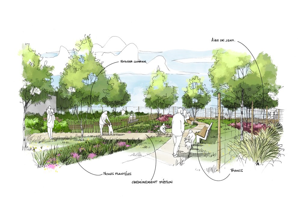 LA PROMENADE - Web - Illustration